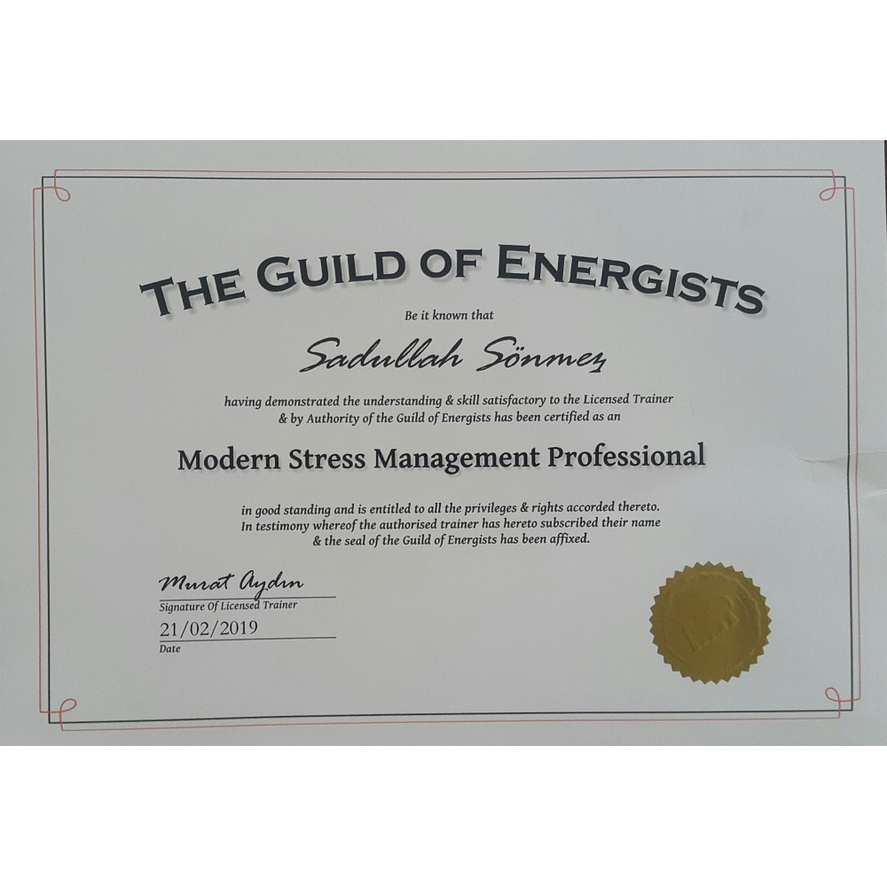 Modern Stress Manegment Professional